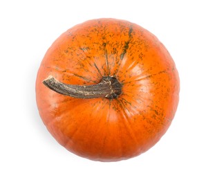 One fresh orange pumpkin isolated on white, top view