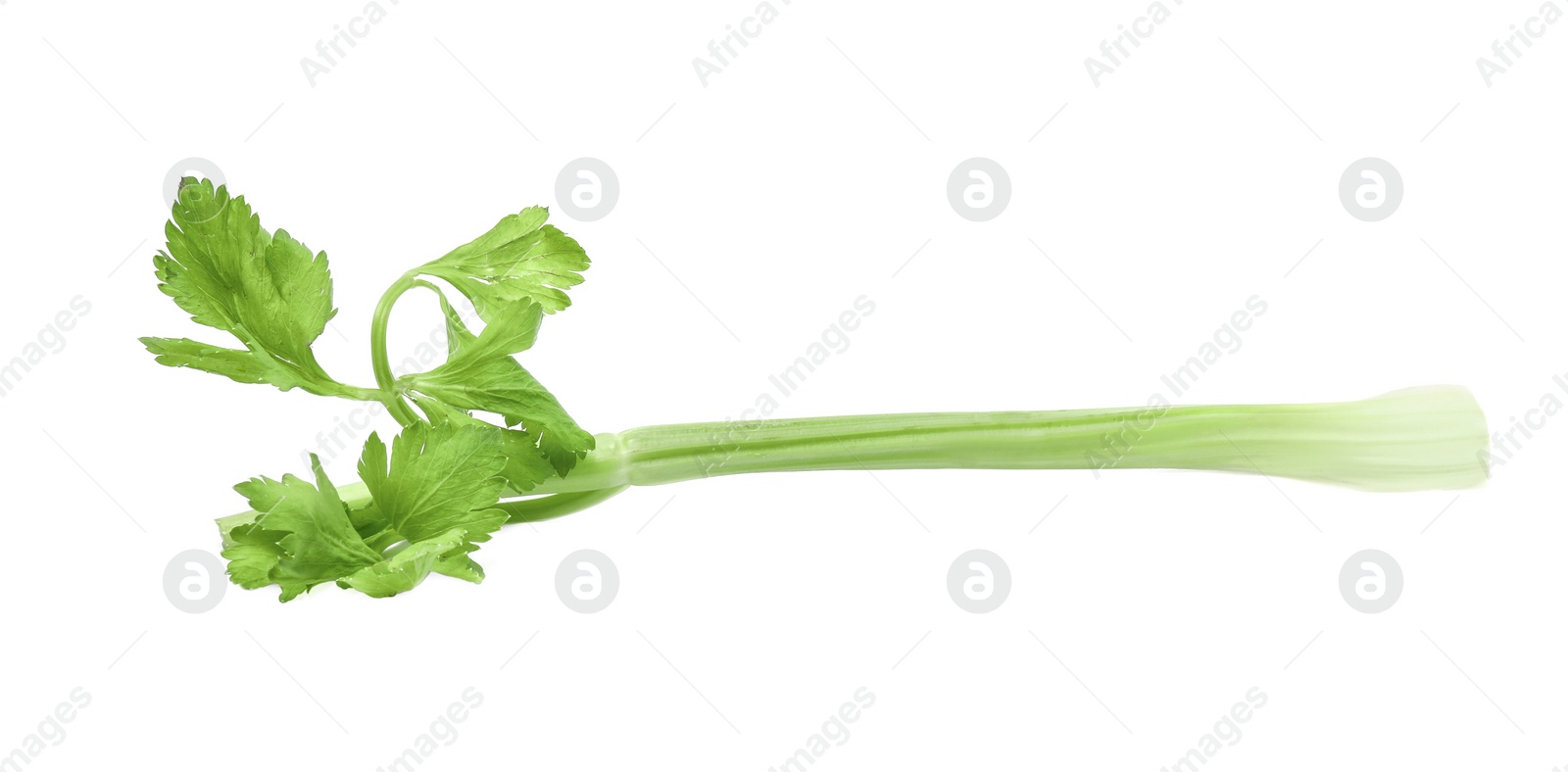 Photo of Fresh green celery stem isolated on white