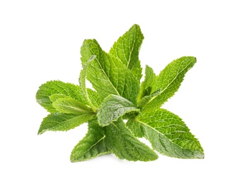 Photo of Fresh green mint leaves on white background