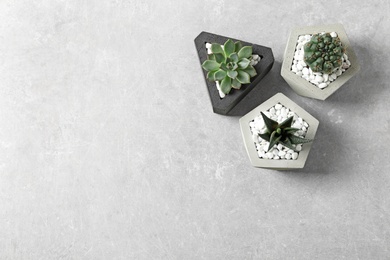 Photo of Beautiful succulent plants in stylish flowerpots on light background, flat lay with space for text. Home decor