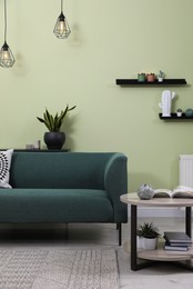 Stylish living room interior with comfortable green sofa and beautiful plant
