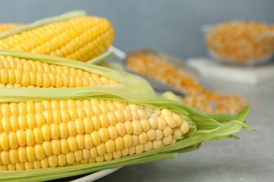 Photo of Plate of fresh corncobs with husks on grey table, closeup
