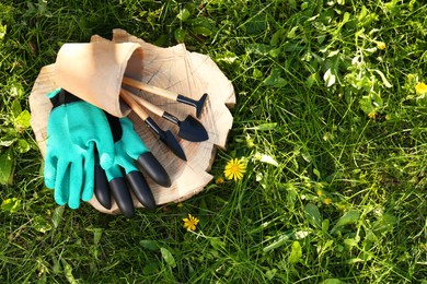 Photo of Pair of gloves and pot with gardening tools on wooden stump among grass outdoors, space for text