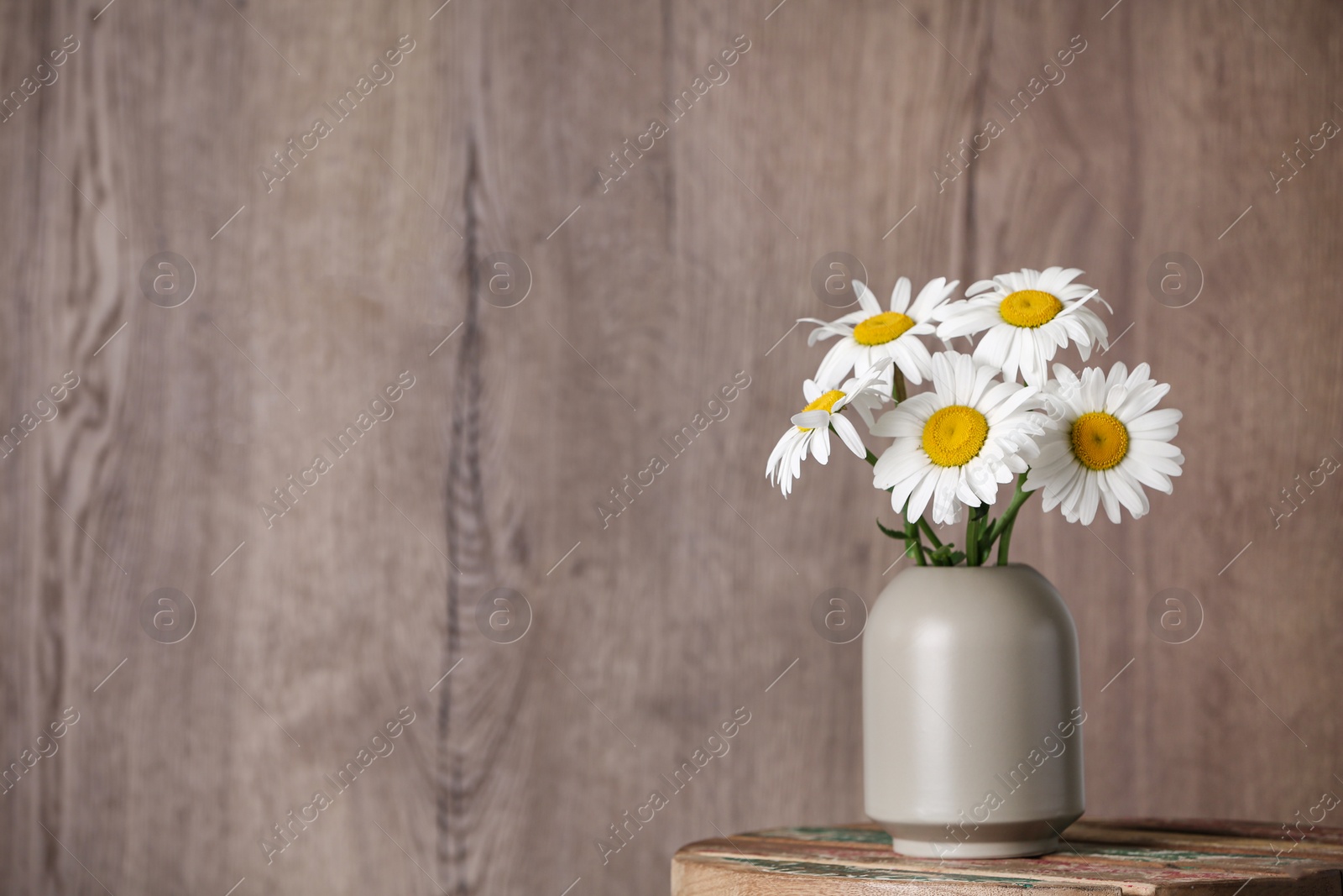 Photo of Beautiful tender chamomile flowers in vase on table against wooden background, space for text