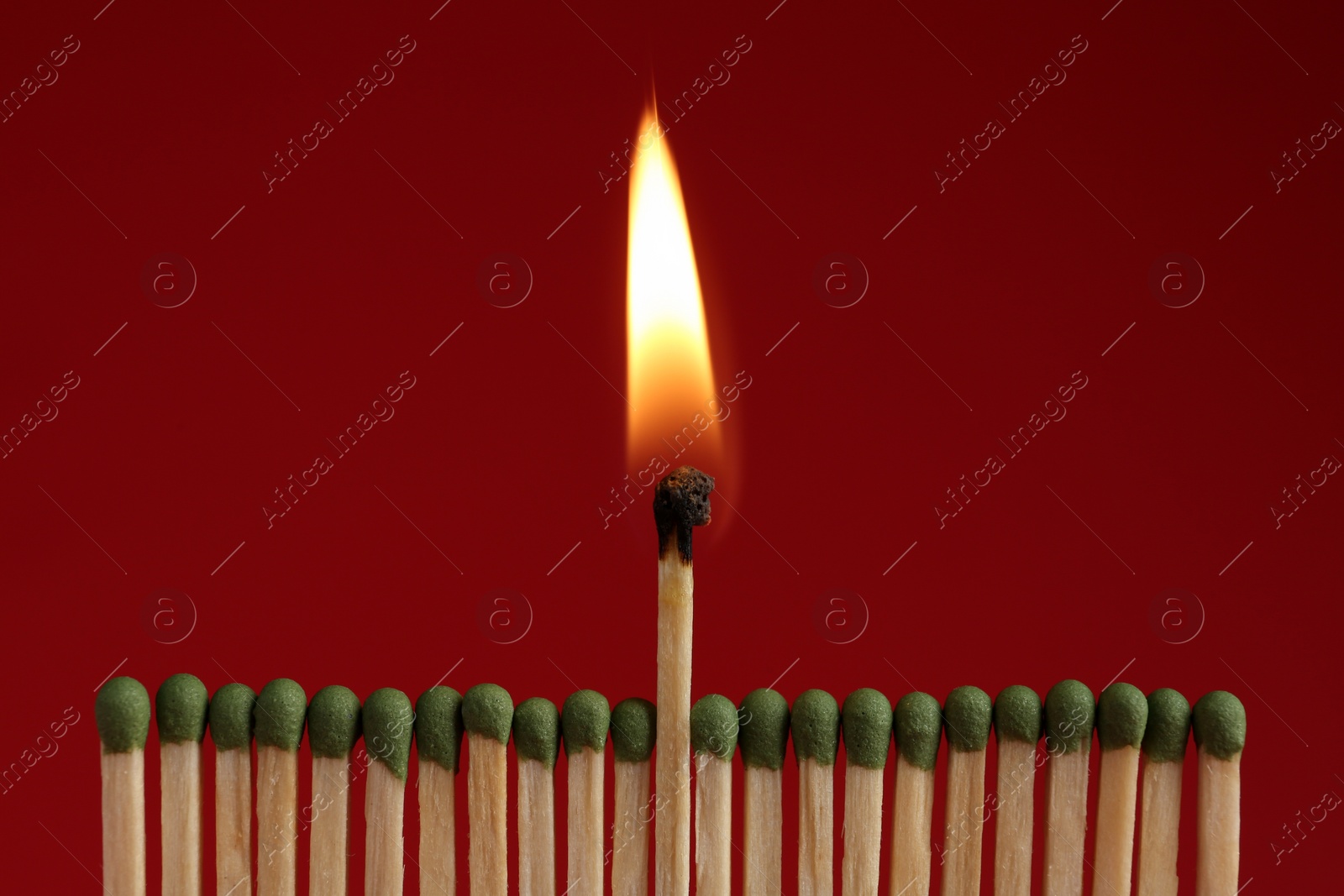 Photo of Burning match among unlit ones on red background, closeup