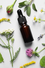 Bottle of essential oil, different herbs and flowers on white background, flat lay