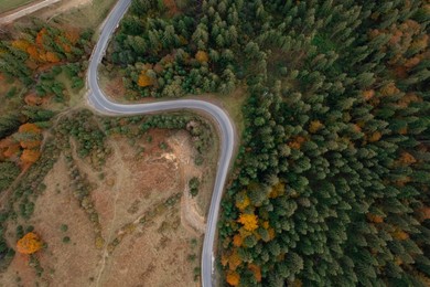 Image of Aerial view of beautiful forest and empty road on autumn day