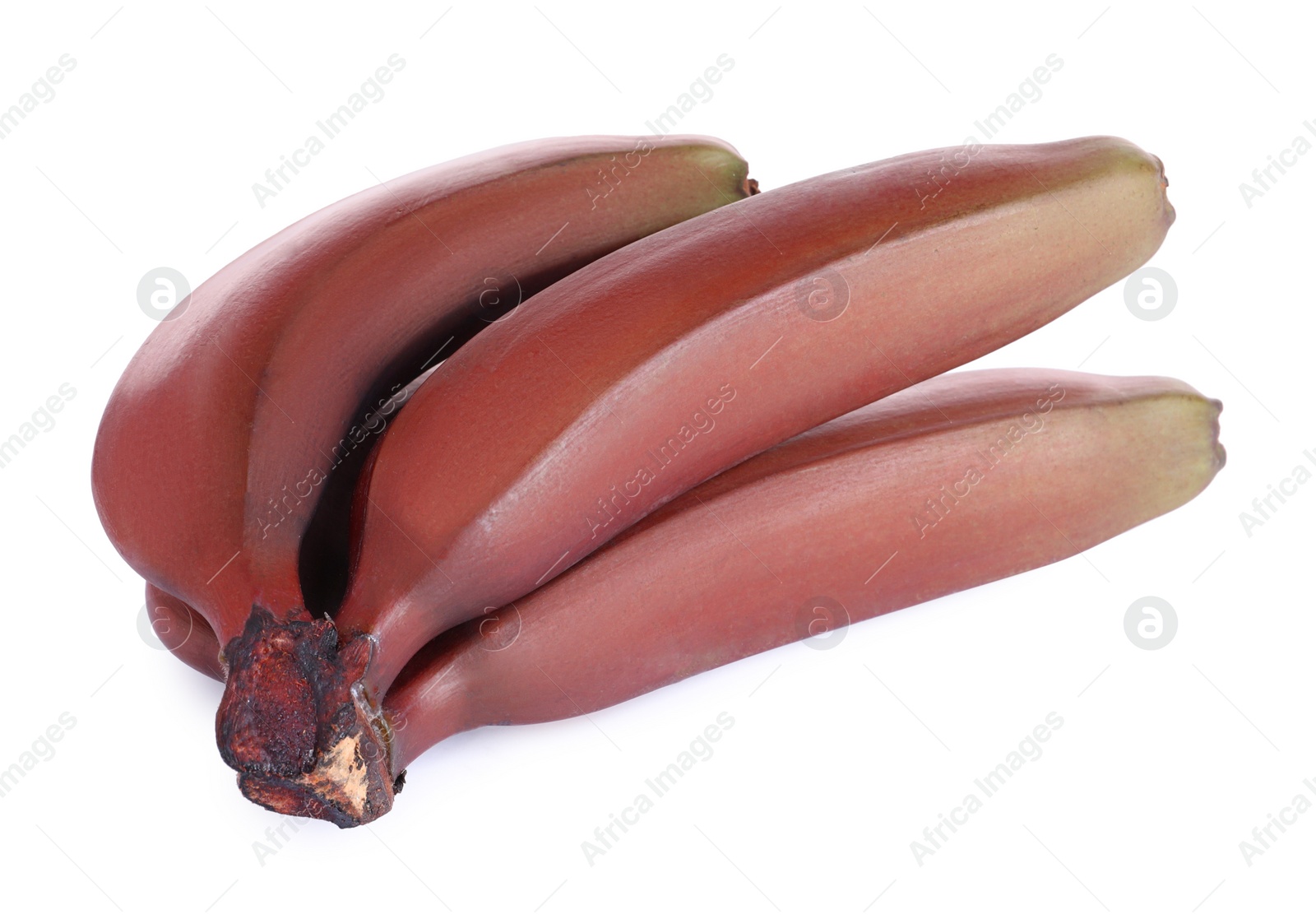 Photo of Delicious red baby bananas on white background