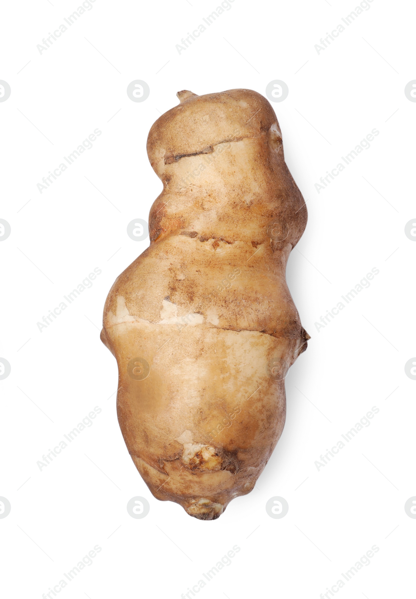 Photo of One raw Jerusalem artichoke isolated on white