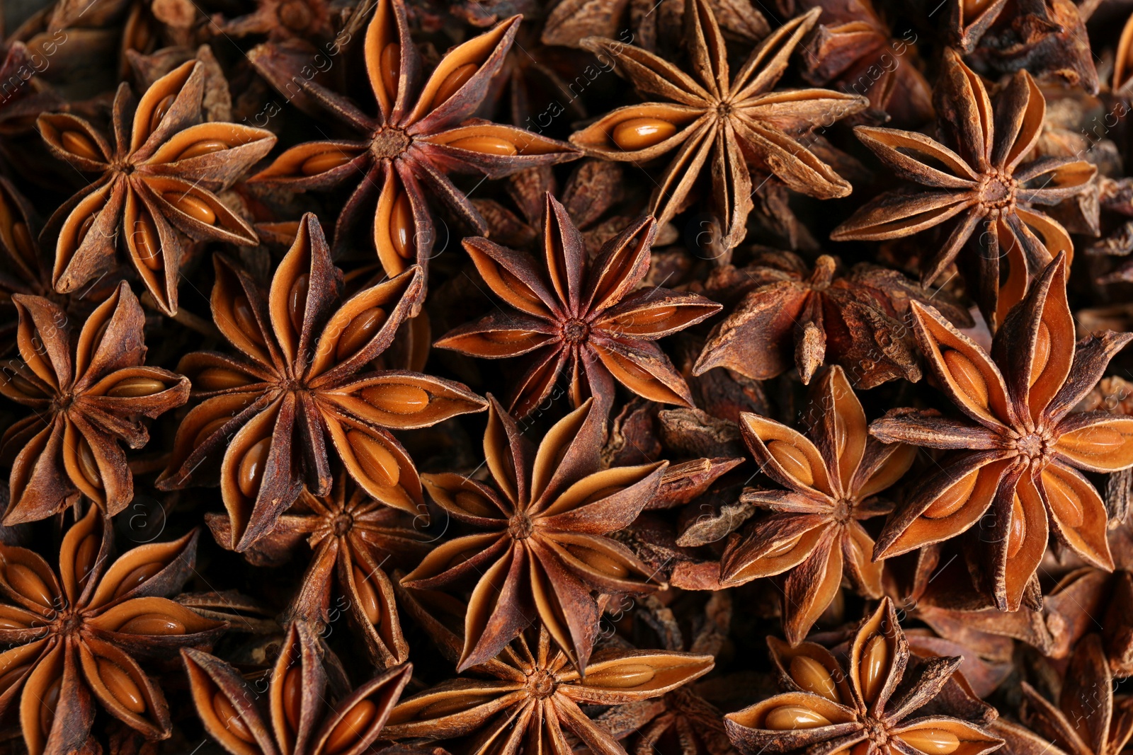 Photo of Aromatic anise stars as background, top view