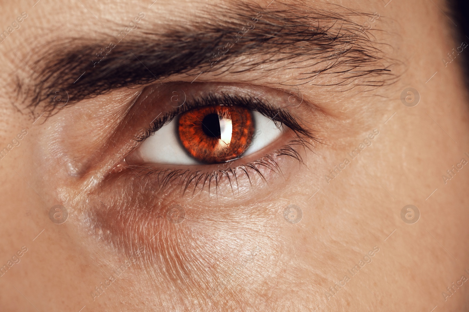 Image of Captivating gaze. Man with brown eyes, closeup