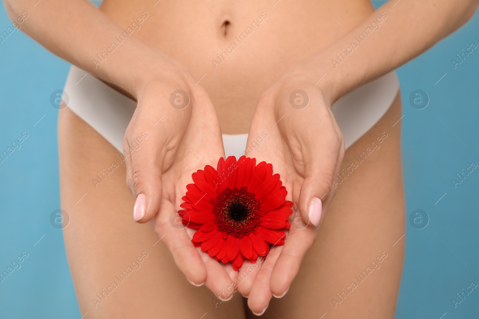 Photo of Woman in white panties with gerbera flower on light blue background, closeup