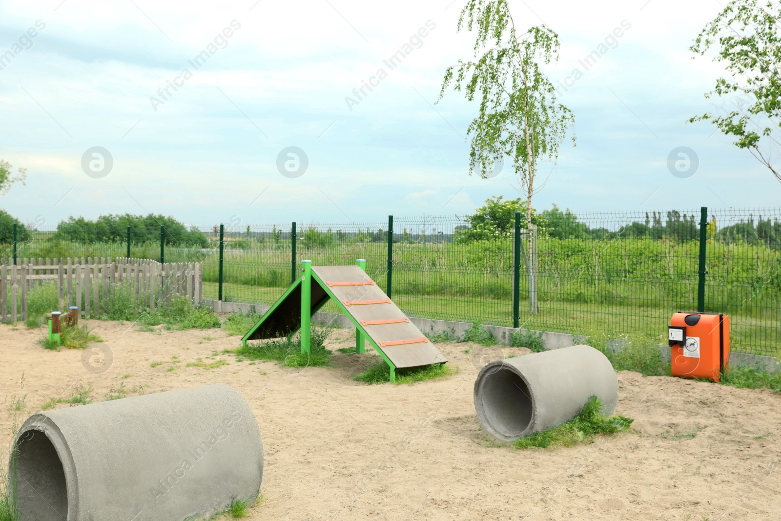 Photo of King of hill and doggie crawls on animal training area outdoors