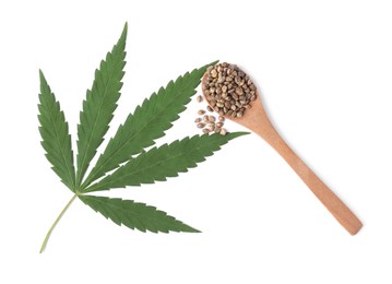 Photo of Fresh green hemp leaf and spoon with seeds on white background, top view