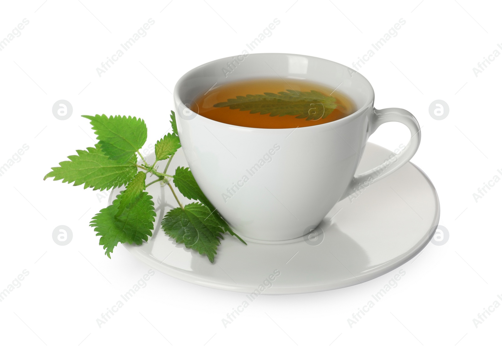Photo of Cup of aromatic nettle tea and green leaves on white background