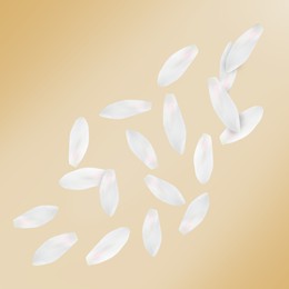 Image of White lotus flower petals falling on dark beige background