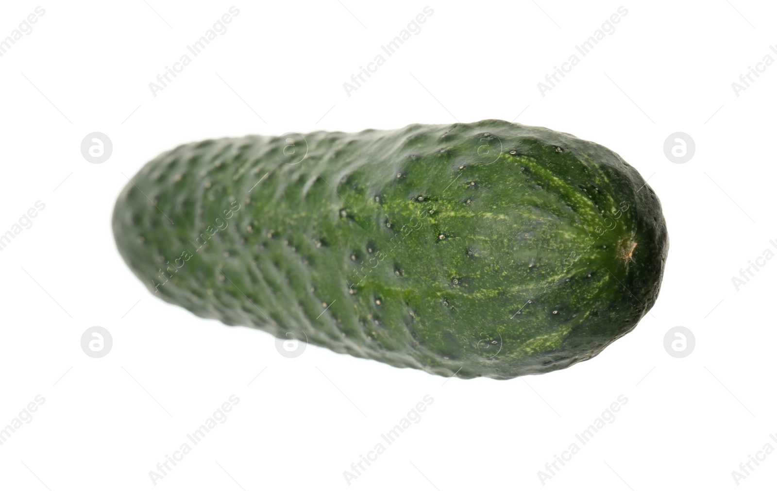 Photo of Fresh ripe green cucumber isolated on white