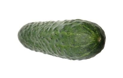 Photo of Fresh ripe green cucumber isolated on white