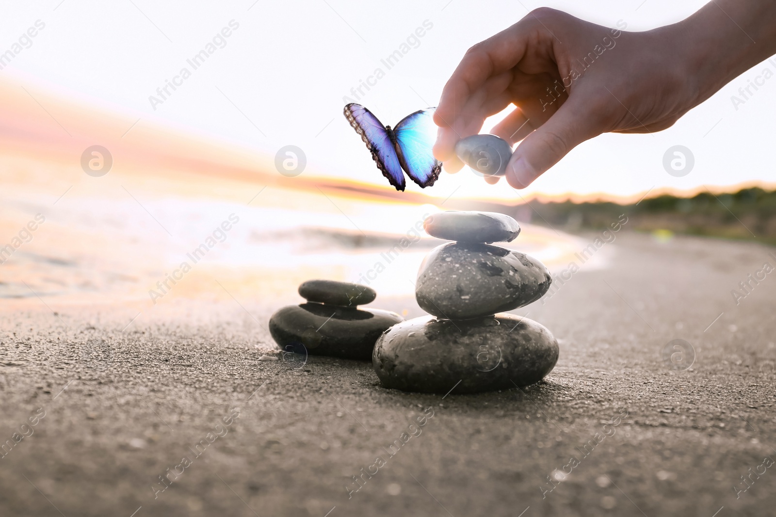 Image of Beautiful butterfly and woman stacking stones on sand near sea at sunset, closeup. Zen concept