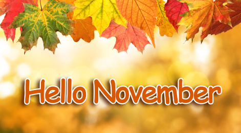 Image of Text Hello November and autumn leaves on blurred background, bokeh effect