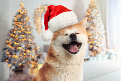 Image of  Cute Akita Inu dog with Santa hat and room decorated for Christmas on background