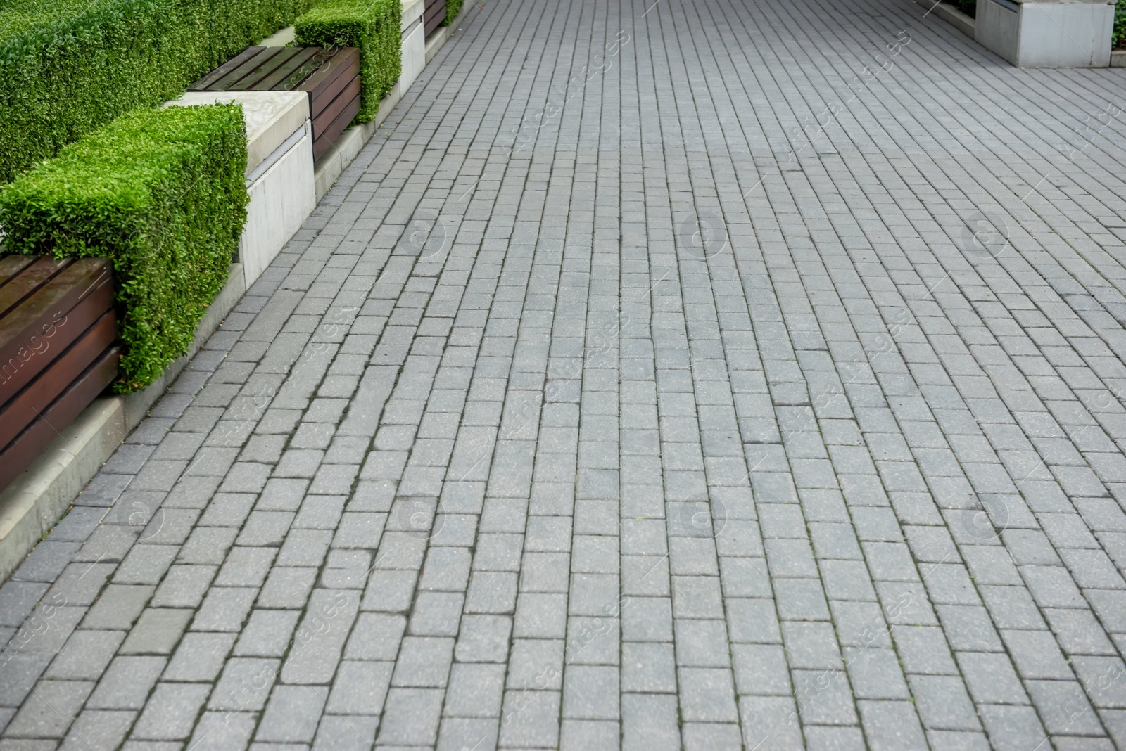 Photo of Grey sidewalk near bench and plants in park. Footpath covering