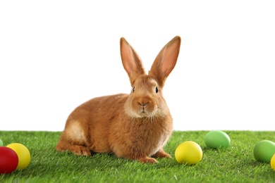 Cute bunny and Easter eggs on green grass against white background