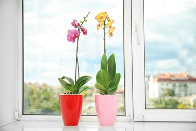 Photo of Beautiful tropical orchid flowers in pots on windowsill