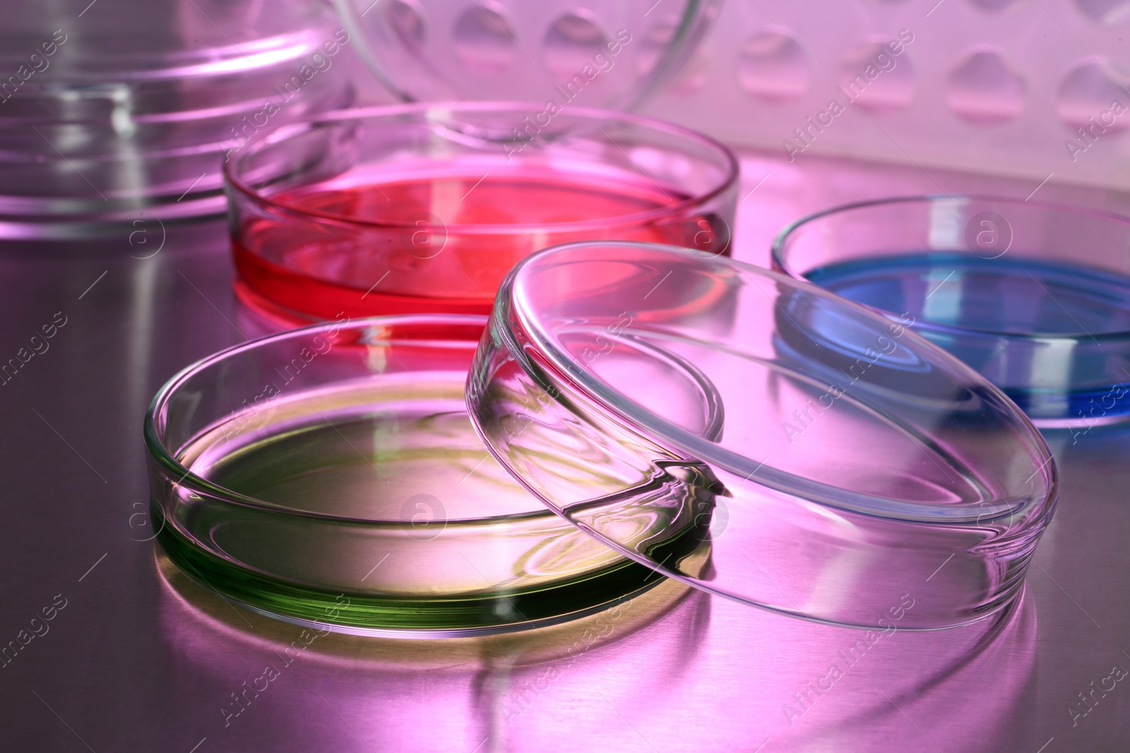 Photo of Petri dishes with colorful samples on table