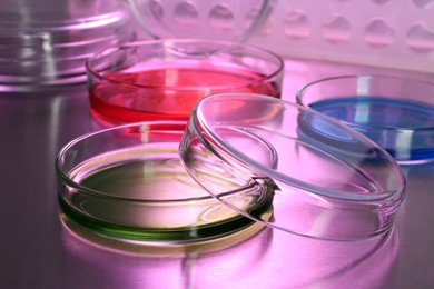 Photo of Petri dishes with colorful samples on table