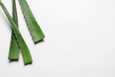 Photo of Fresh aloe vera leaves on white background. Space for text