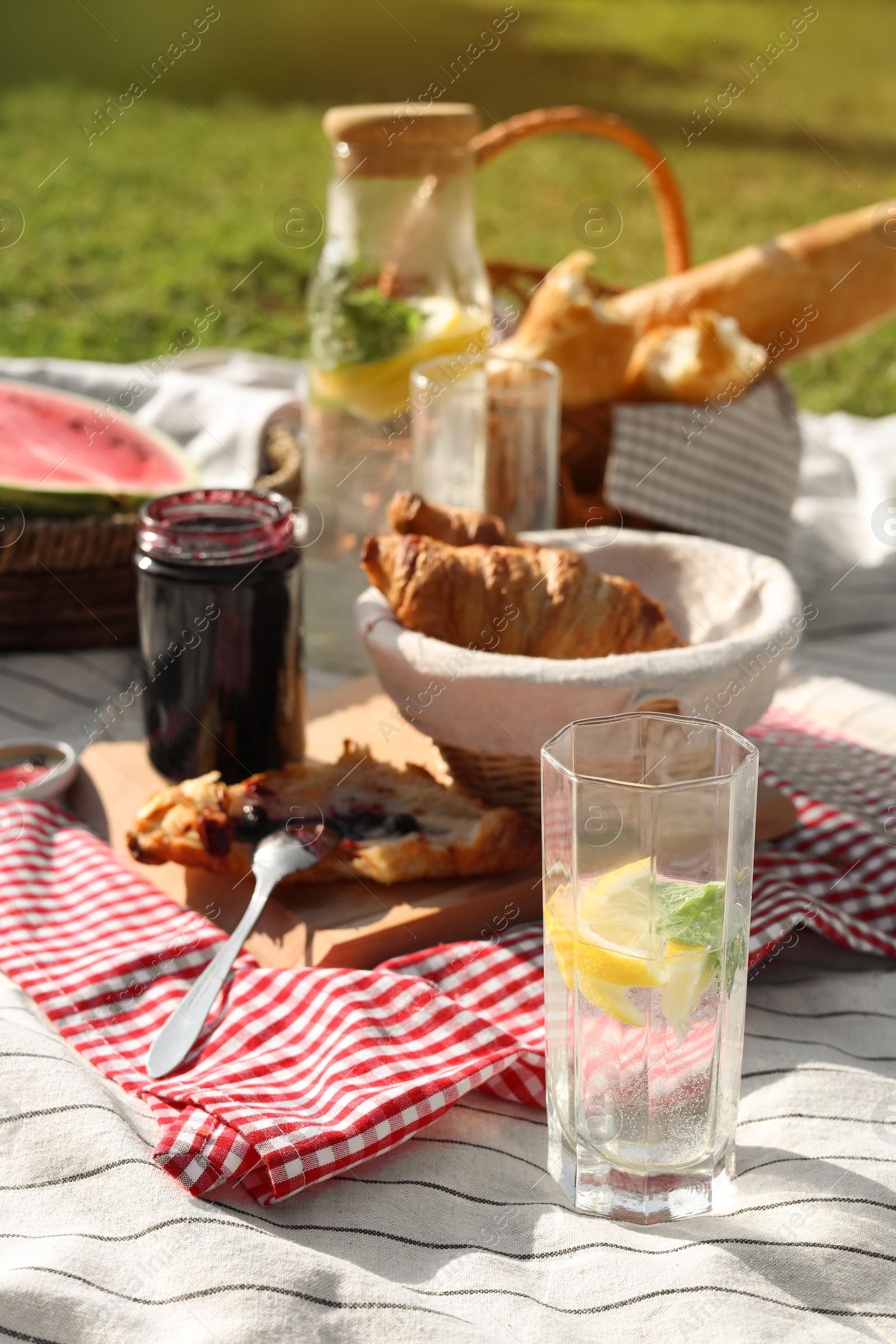 Photo of Delicious food and drink on striped blanket in garden. Picnic season