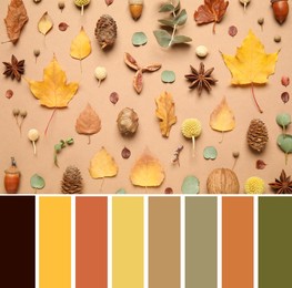 Image of Color palette and composition with autumn leaves on beige background, flat lay