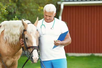 Senior veterinarian with clipboard near palomino horse outdoors