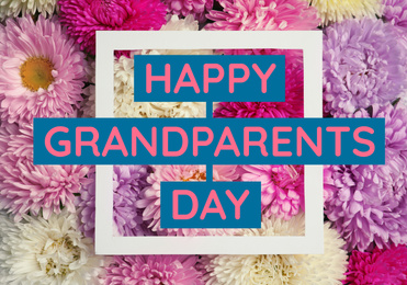 Image of Top view of beautiful aster flowers and phrase HAPPY GRANDPARENTS DAY