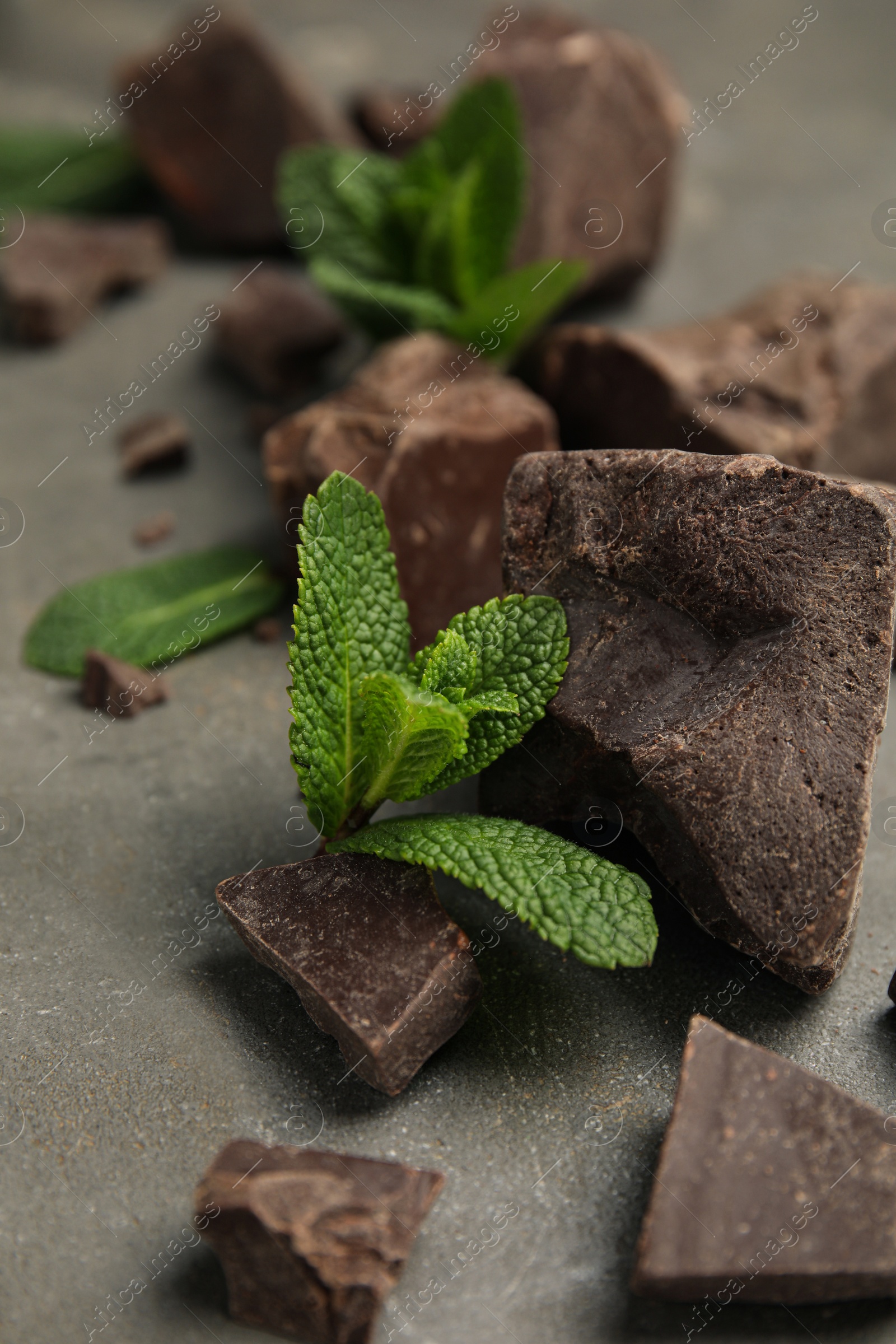 Photo of Tasty dark chocolate pieces with mint on grey table, closeup