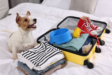 Photo of Travel with pet. Dog, clothes and suitcase on bed indoors