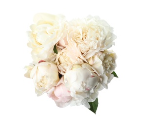 Bouquet of beautiful peonies on white background