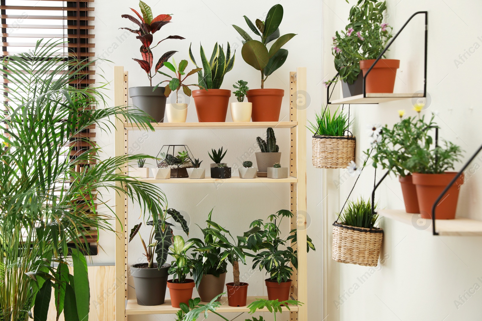 Photo of Stylish room interior with different home plants