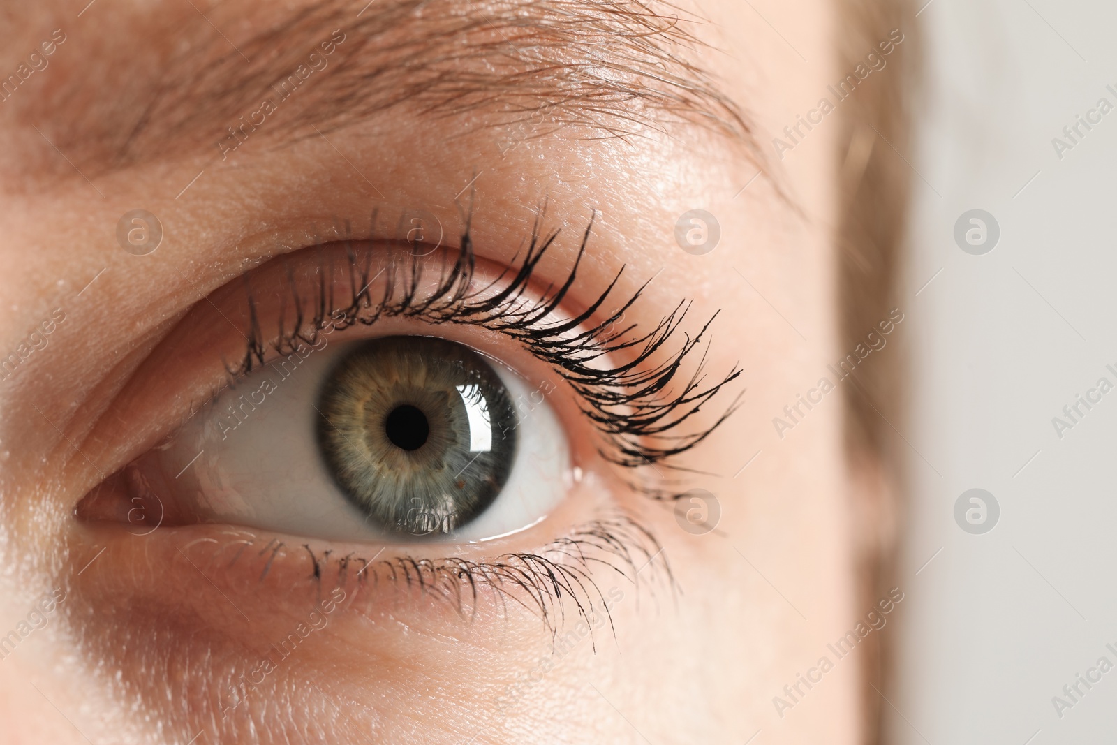 Photo of Macro photo of woman with beautiful eyes