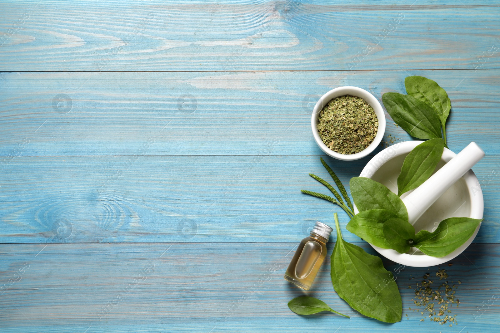 Photo of Fresh and dried broadleaf plantain leaves with essential oil on light blue wooden table, flat lay. Space for text