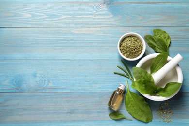 Fresh and dried broadleaf plantain leaves with essential oil on light blue wooden table, flat lay. Space for text