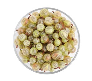 Glass bowl full of ripe gooseberries isolated on white, top view