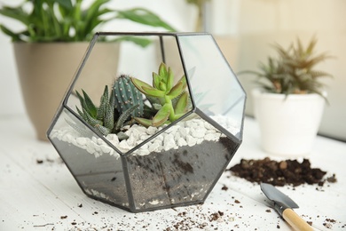 Photo of Glass florarium with succulents on wooden window sill. Transplanting home plants