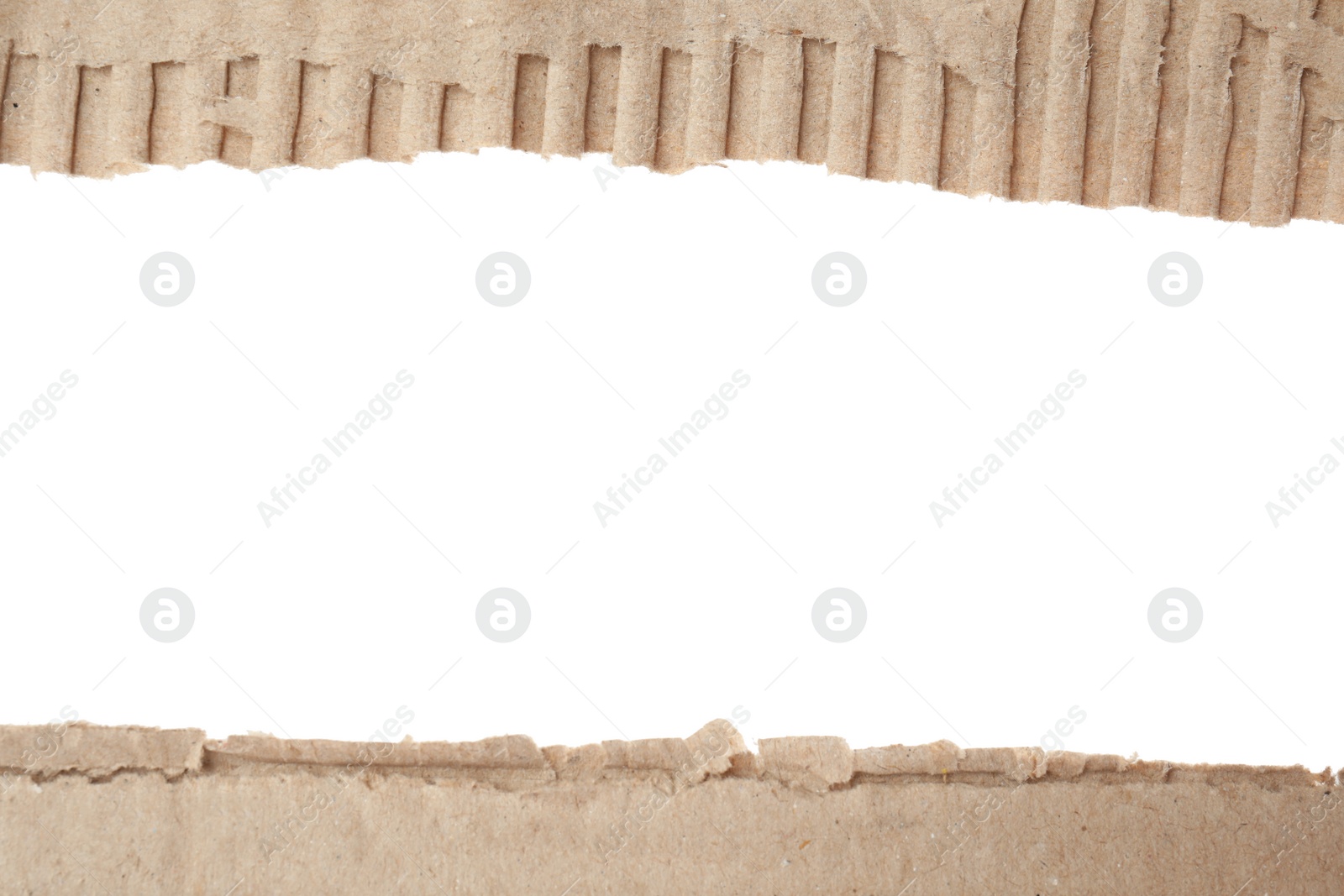 Photo of Pieces of torn cardboard isolated on white