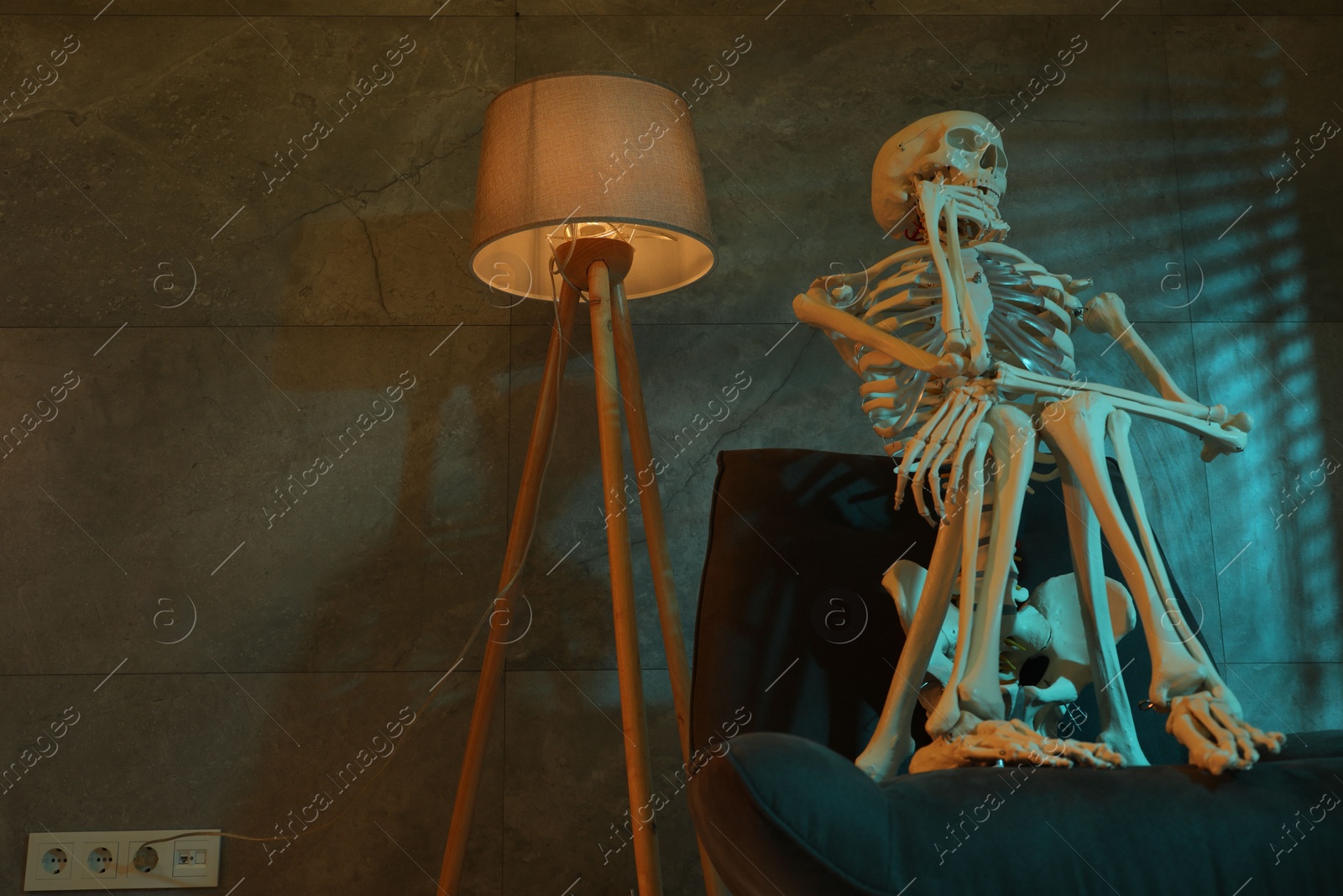 Photo of Waiting concept. Human skeleton sitting in armchair indoors, space for text