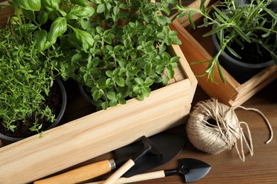 Crate with different potted herbs and gardening tools on wooden table, closeup
