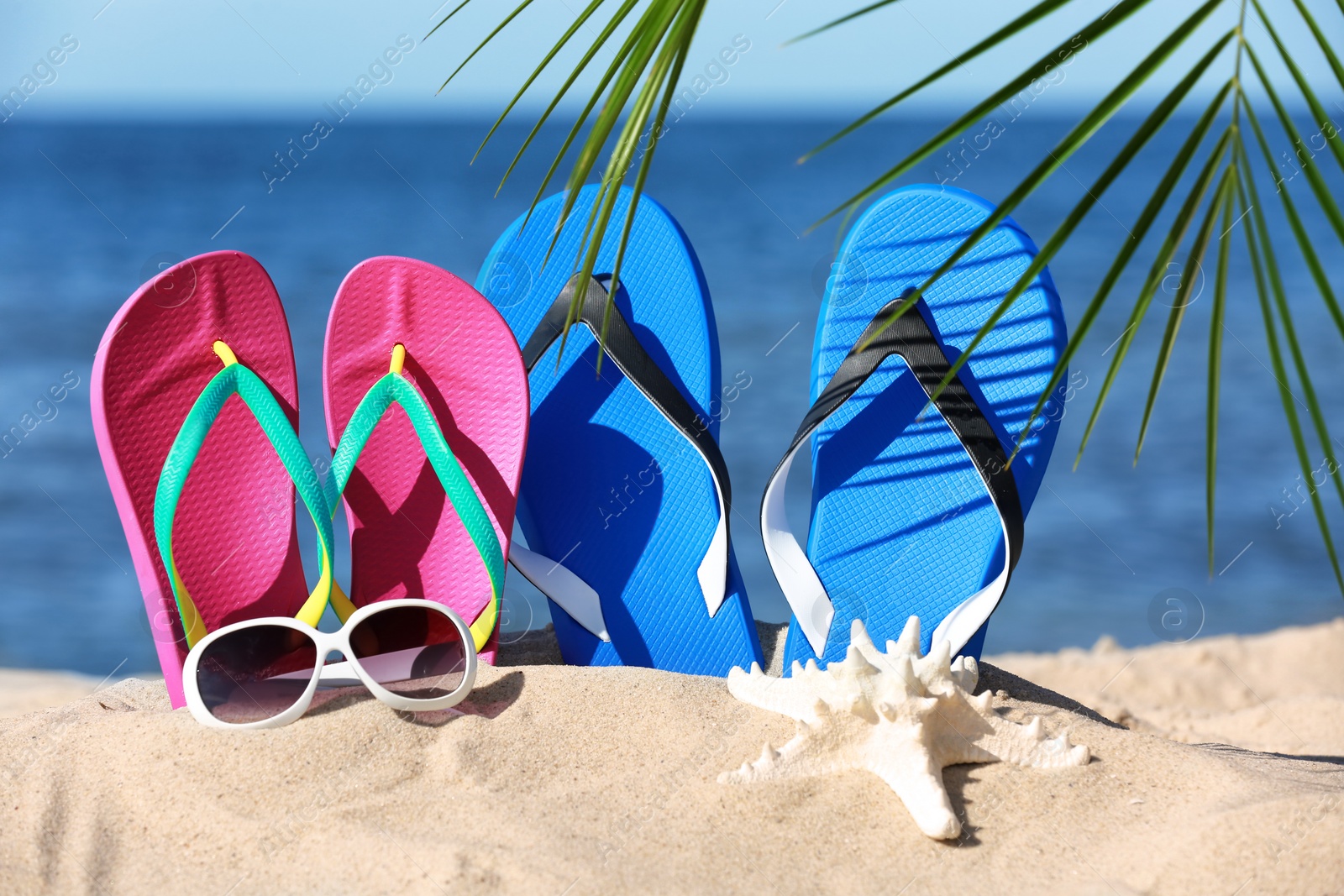 Photo of Composition with beach accessories on sand near sea in summer