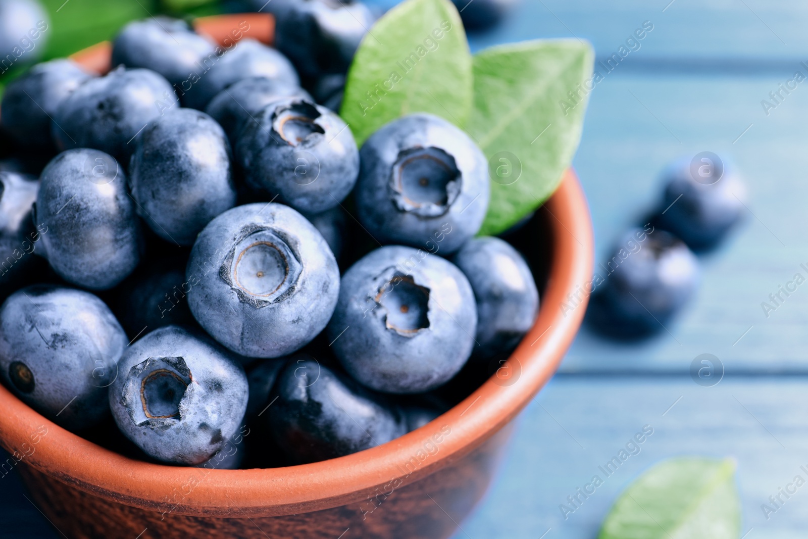 Photo of Tasty fresh blueberries in bowl on blue wooden table, closeup. Space for text