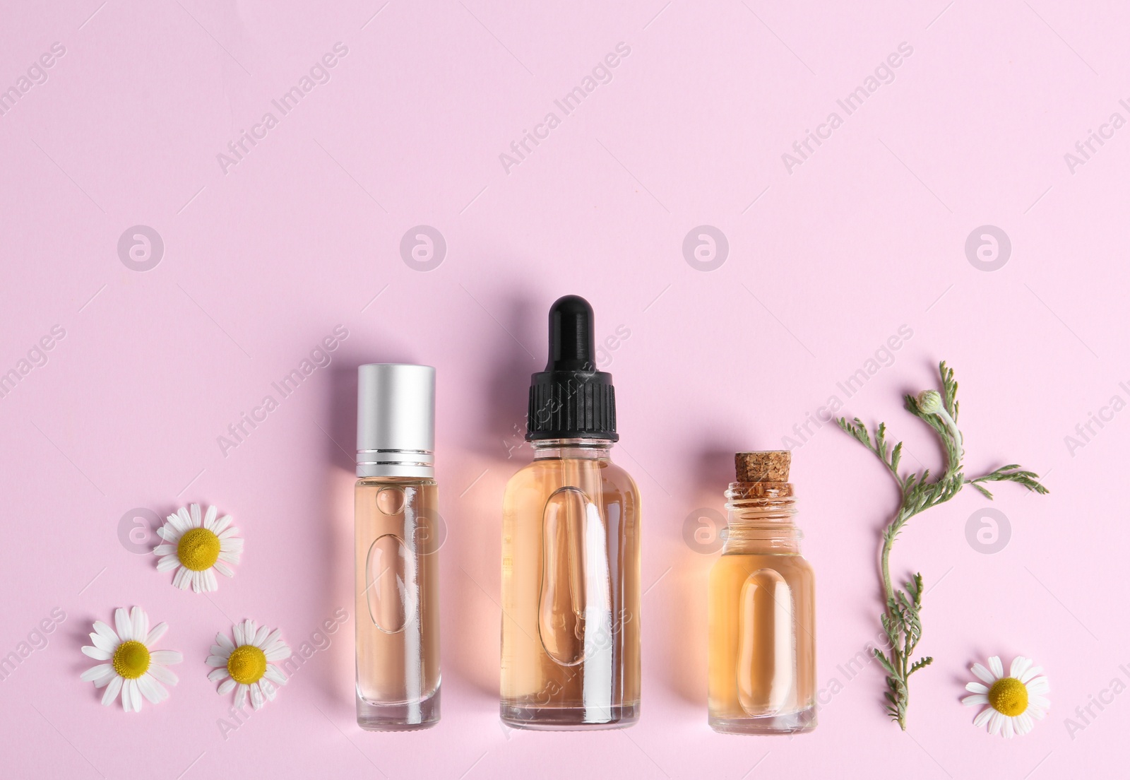 Photo of Flat lay composition with chamomile essential oil on pink background